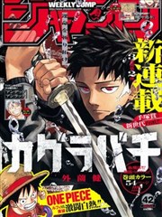 漫画家的最后一周剧集封面